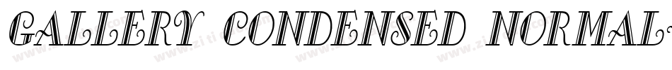 Gallery Condensed Normal字体转换